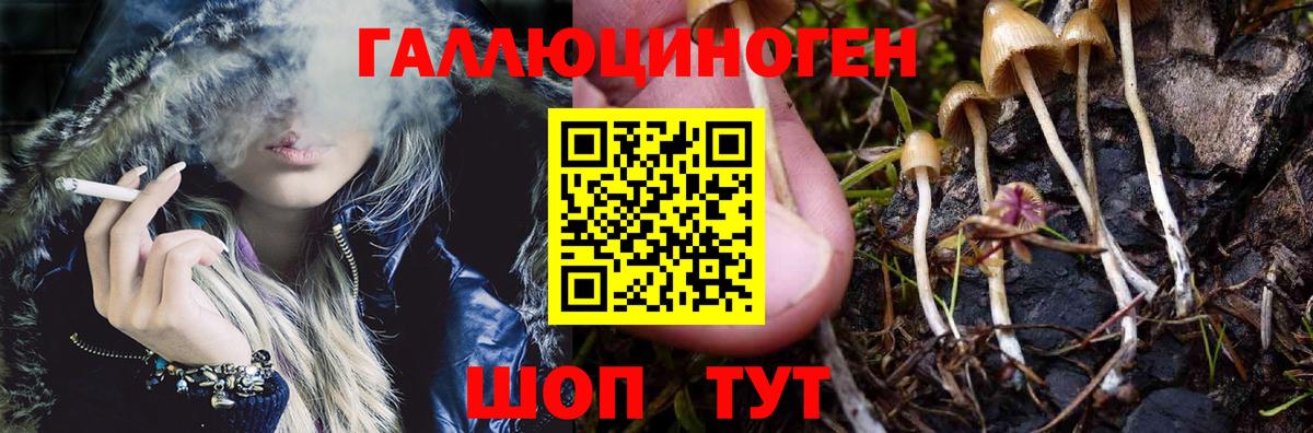 Псилоцибиновые грибы мухоморы  Псилоцибиновые грибы Psilocybine cubensis  Вход с VPN  Чистополь 