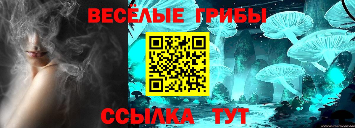 Галлюциногенные грибы мухоморы Чистополь